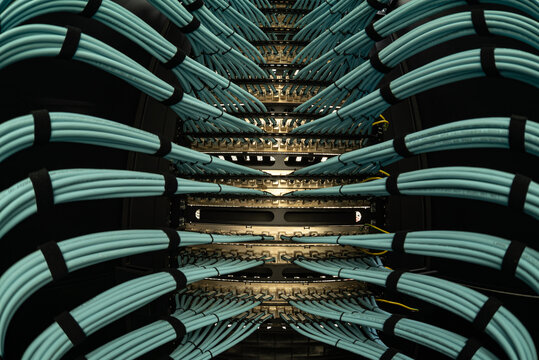 close up of network cables connected to server racks in data center room.