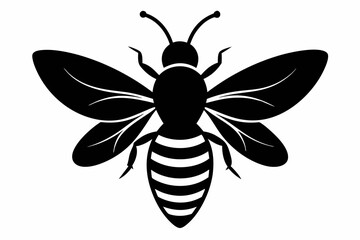black and white Bee silhouette, bee vector illustration, bee silhouette, animal silhouette isolated vector Illustration, png, Funny cute bee, Jumping cartoon bees