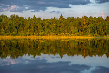 The forest is reflected in the forest lake