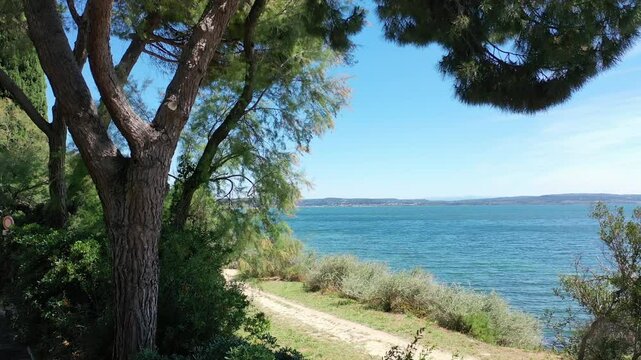 Video from a drone flying smoothly through the branches of pine trees to the open sea on a sunny summer day, the coast of Istres, Provence, France