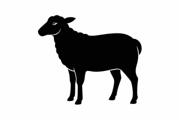 illustration of sheep, sheep vector illustration, sheep silhouette, animal silhouette isolated vector Illustration, png, Funny cute otter, Jumping cartoon Pats