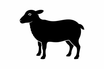 illustration of sheep, sheep vector illustration, sheep silhouette, animal silhouette isolated vector Illustration, png, Funny cute otter, Jumping cartoon Pats