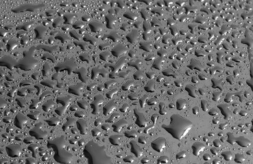 Water drops on a black background. Texture