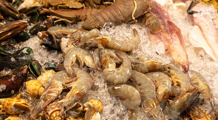 Shrimp and crayfish on ice at the market.