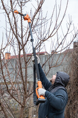 Gardener prunes branches of a tree in the garden with using long reach pole electric battery powered pruning secateurs, shears. Professional gardener with a long professional garden tools at work.