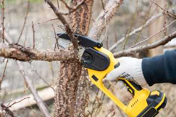 Gardener's hand cuts branch on a tree, with using small handheld lithium battery powered chainsaw. Season pruning. Trimming trees with chainsaw in backyard home. Season cut tree.