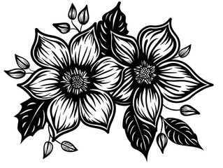 Obraz premium black and white flower isolated