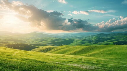Fototapeta premium A beautiful, sunlit field with a clear blue sky. Generate AI
