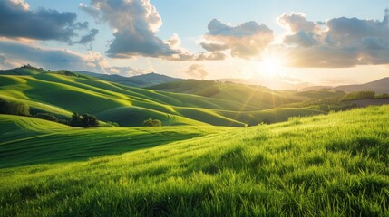 Obraz premium A beautiful, sunlit field with a clear blue sky. Generate AI