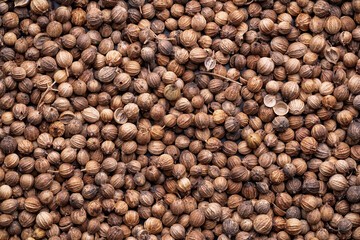 Top view of dry coriander seeds as condiment