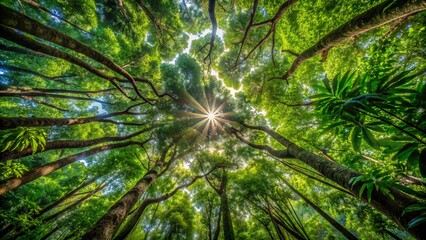 Fototapeta premium Dense Amazon rainforest canopy with entwined tree branches forming circular patterns amidst vibrant green foliage and dappled light.
