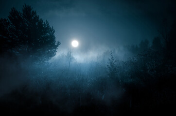 Night mysterious landscape in cold tones - silhouettes of the forest trees under the full moonlight...