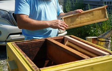 A beekeeper holds a honeycomb in his hands on a frame above a wooden beehive on a family farm in summer. The concept of keeping and breeding bees for honey production