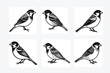 sparrow black silhouette vector illistration