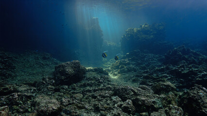 Underwater photo of rays of sunlight inside a cave. From a scuba dive in Thailand.