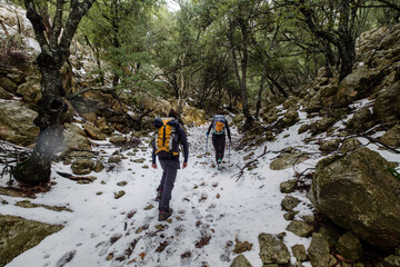Obraz premium hikers in the Son Palou forest, Orient valley, Bunyola, Mallorca, Balearic Islands, Spain