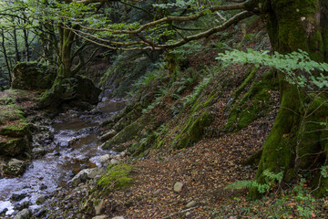 GR path Altxonbide ibilbidea. GR 35, Aralar natural park, Guipuzcoa-Navarra, Spain