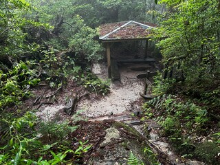 Yakusugi Land is a nature park populated by a number of yakusugi. The park is one of the most...