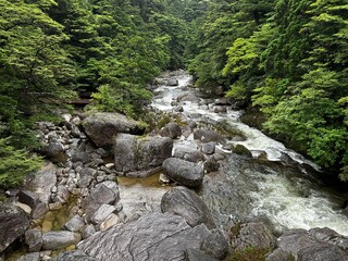 Yakusugi Land is a nature park populated by a number of yakusugi. The park is one of the most accessible places on Yakushima to see the ancient cedar trees.