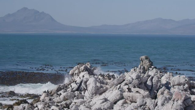 Robben Island South Africa Rocky Coastline With Mountanous Backdrop