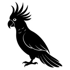 A-cockatoo-bird-silhouette vector illustration