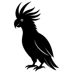 Fototapeta premium vector illustration of a bird