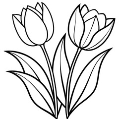  tulips vector illustration