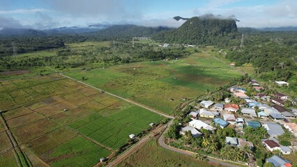 Kuching, Malaysia - July 4 2024: Aerial View of The Skuduk Paddy Field