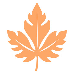 An orange maple leaf
