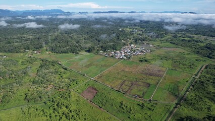 Kuching, Malaysia - July 4 2024: Aerial View of The Skuduk Paddy Field