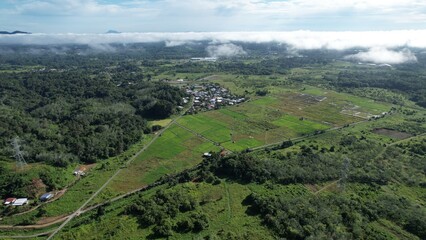 Kuching, Malaysia - July 4 2024: Aerial View of The Skuduk Paddy Field