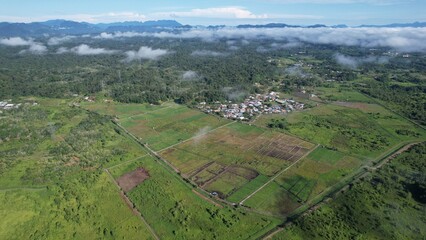 Kuching, Malaysia - July 4 2024: Aerial View of The Skuduk Paddy Field