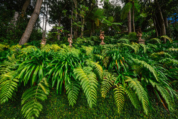 Monte Palace, Tropical Garden with Waterfalls, Lakes and traditional buildings above the city of Funchal