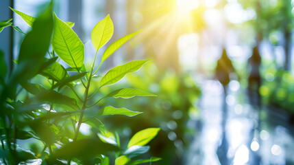 surrounded by green trees and sunlight. Reflects an eco-friendly and ecologically responsible business concept.copy space