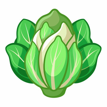 recommend clip art: choi sum clipart cartoon Illustration drawing
