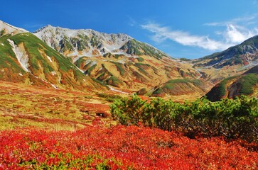 紅葉の立山連峰　ハイキング