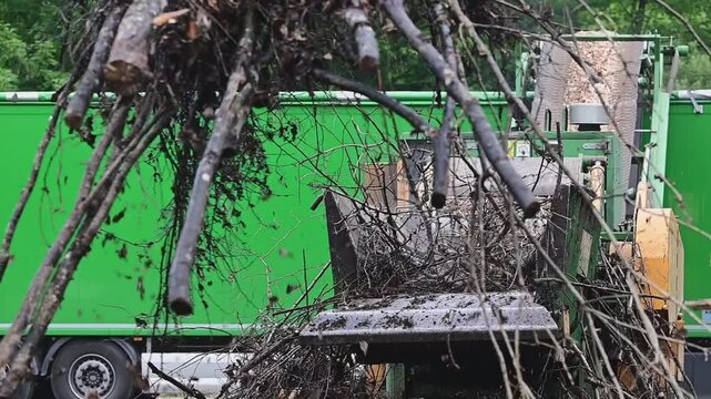 Wood chipper, management of wood waste for furniture or energy production.	