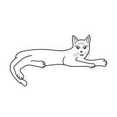 cat single line art drawing vector