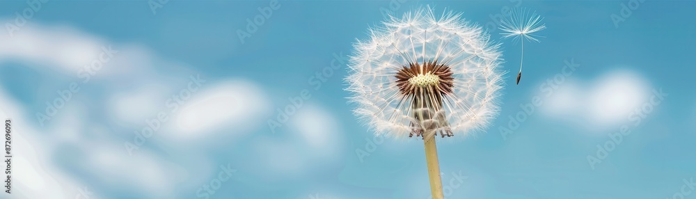 Wall mural Dandelion Seed with Blurred Sky Background.