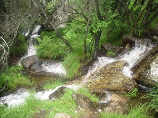 Rio bravo