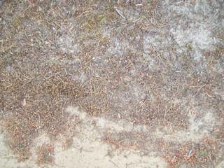 Testura de la piedra