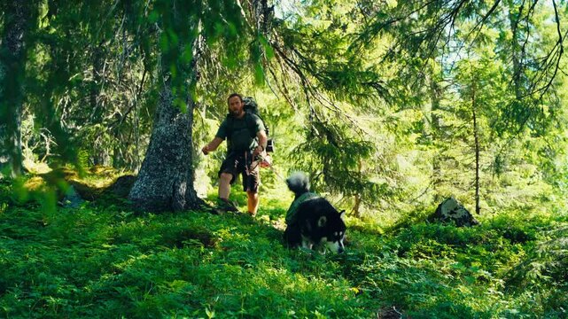 Hiker With Dog In Dense Vegetated Forest During Summer. Static Shot