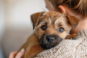 Fototapeta na wymiar Woman embracing and snuggling with a Border Terrier puppy in her residence.