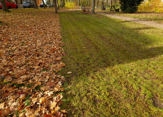 mowing with leaf collection. will be collected by the lawnmower. the difference between a manicured...