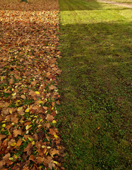 mowing with leaf collection. will be collected by the lawnmower. the difference between a manicured...