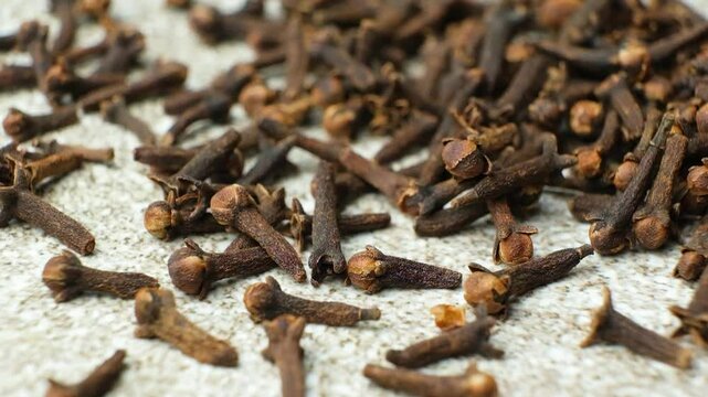 Dried clove spice on a gray stone background, macro slow motion
