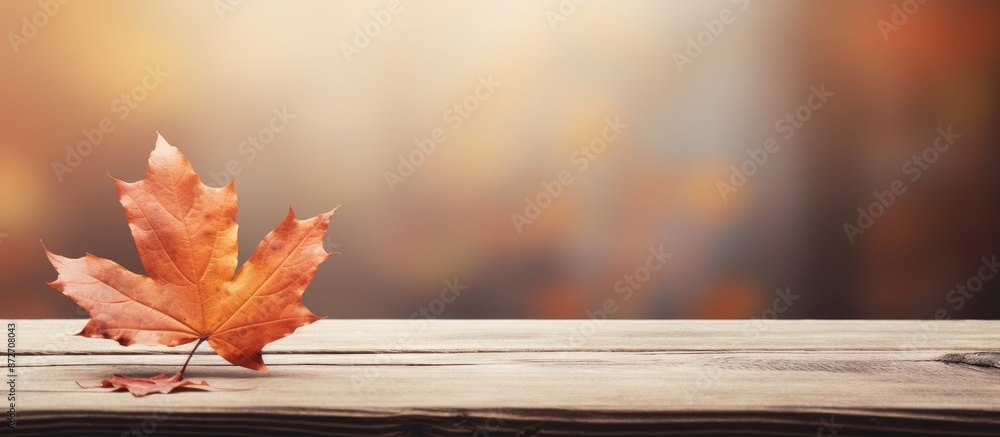 Poster A single autumn leaf is placed on a table with copy space image.