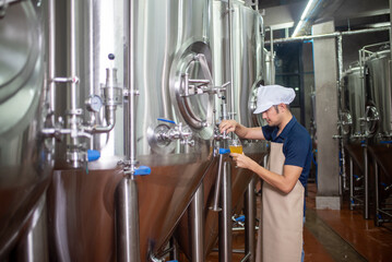 An Asian male brewer tests beer samples by pouring beer