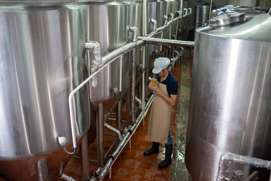 An Asian male brewer tests beer samples by pouring beer - Powered by Adobe