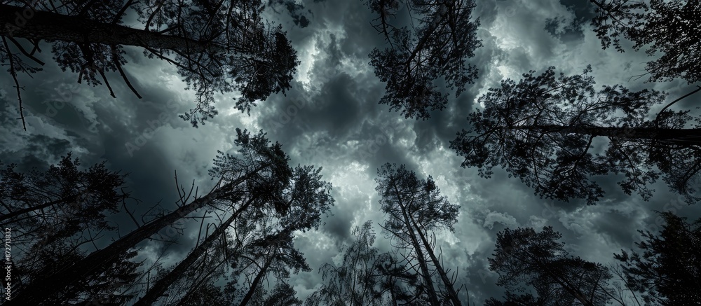 Poster looking up through the dark trees reveals the cloudy sky, with available copy space image below.